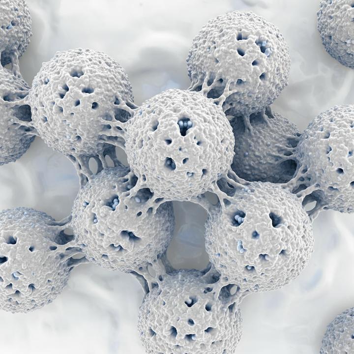 Como utilizar a caseína corretamente Como utilizar a caseína corretamente